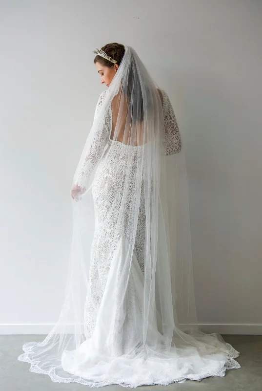 Exclusive Offers Fi Veil